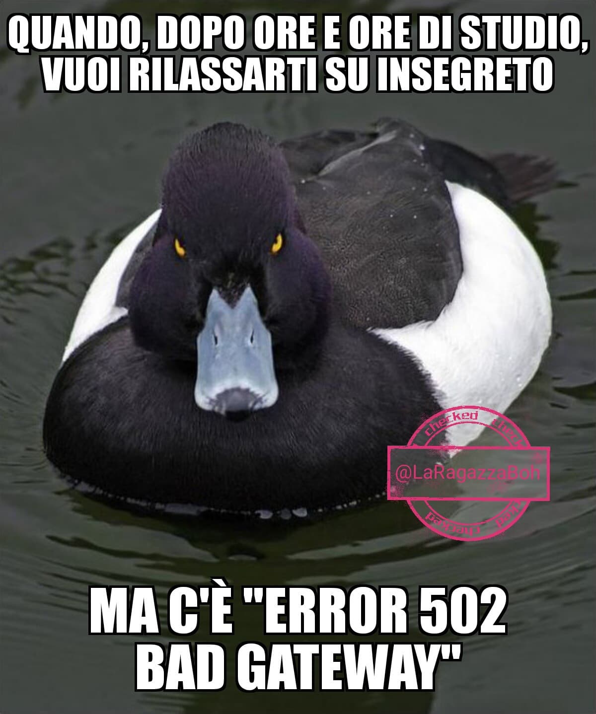 Bentornati ragazziii ??