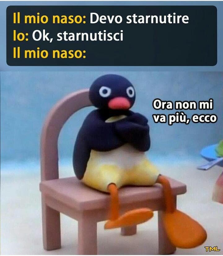 Preso da insta ma mi fa ridere hahahahah