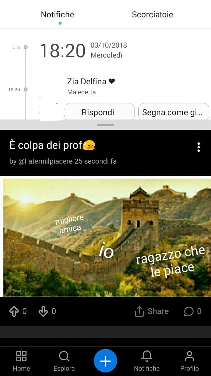 Non gli ho fatto vedere il meme  non gli ho detto niente dello Shouts........