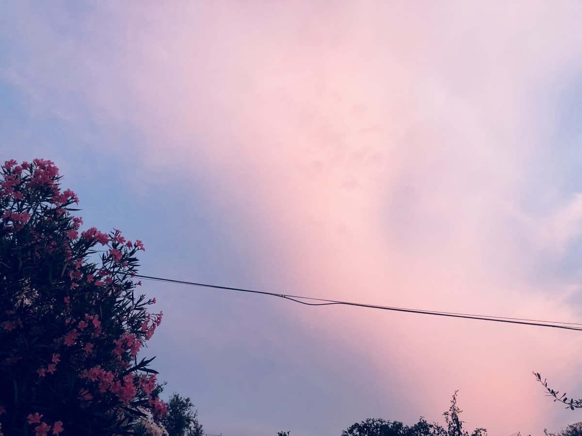 Il cielo rosa qualche ora fa ?