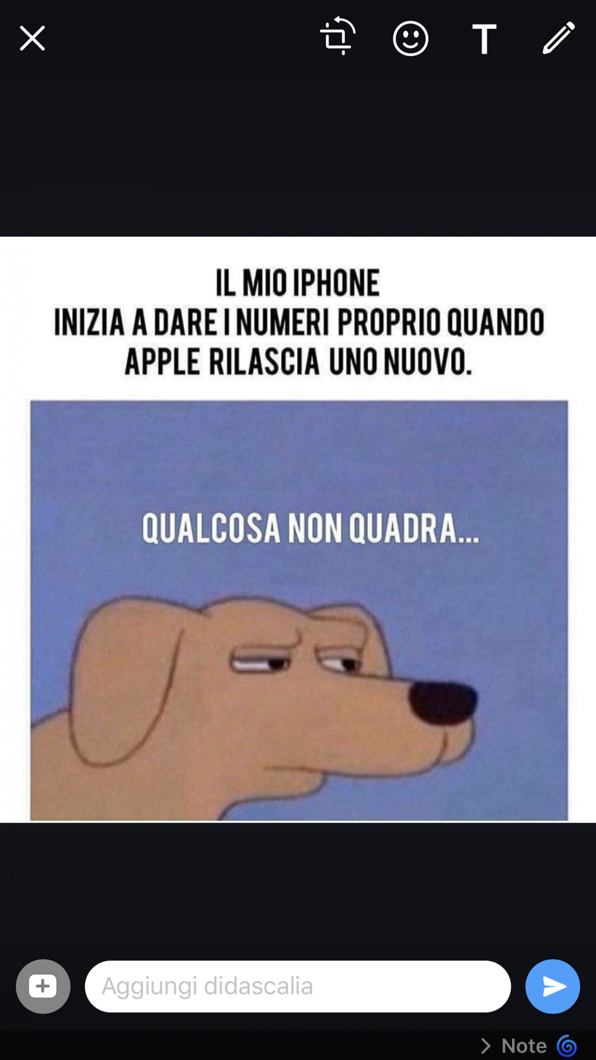 Hahahaha la dura verità 