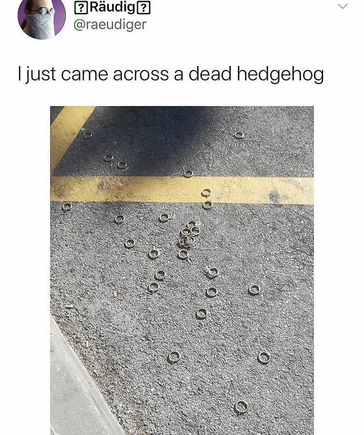 RIP Sonic