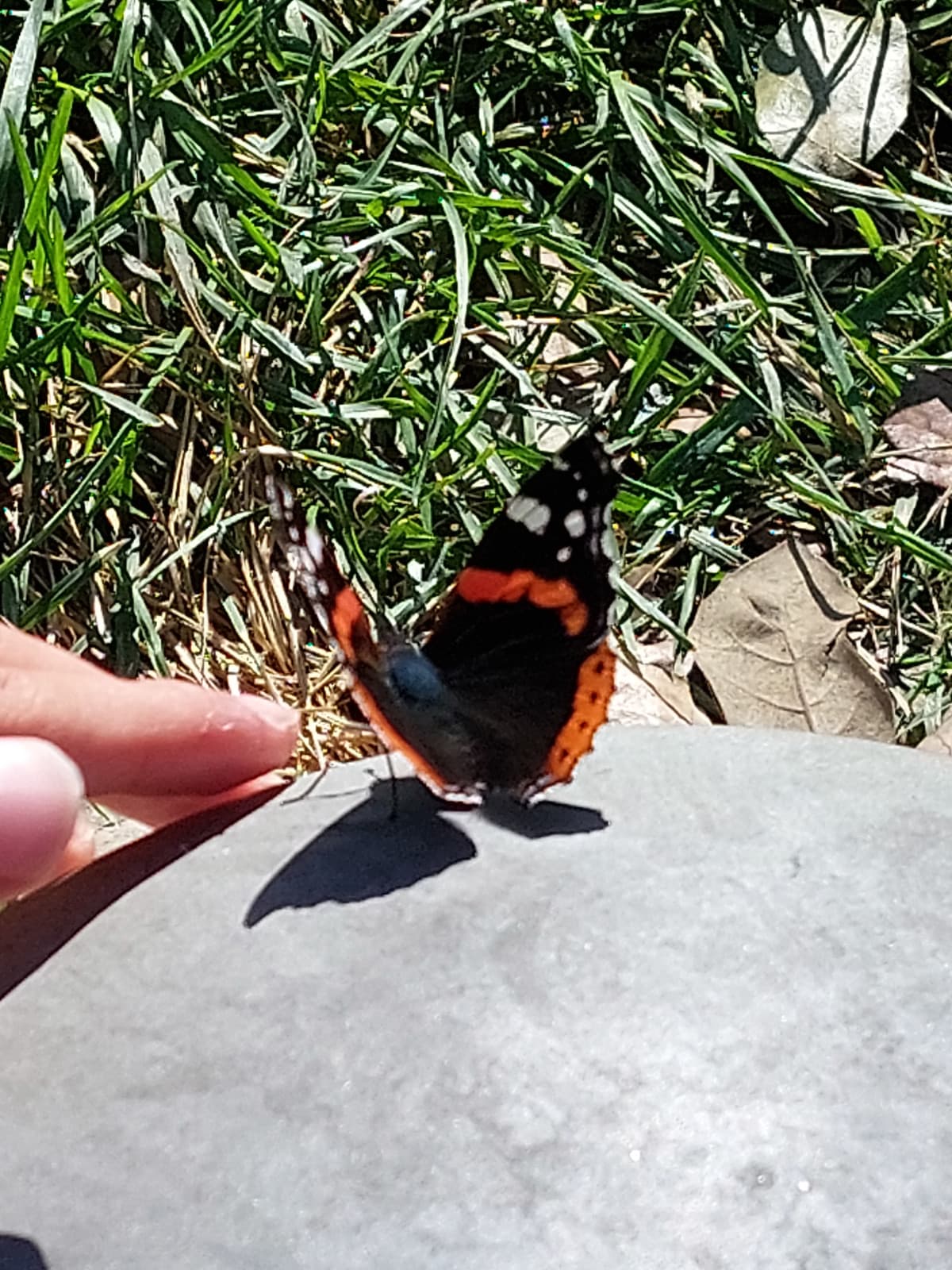 Capiamoci. Se al posto di mangiare voglio finire i compiti e poi mangiare devo poterlo fare. Non me ne frega un cazzo di mangiare se manco ho fame per poi sentirmi dire che mangio troppo. Manco volevo farlo. Fate passare in fretta sti 5 anni almeno me ne v