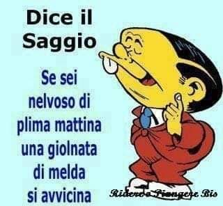 Dice il SAGGIO!