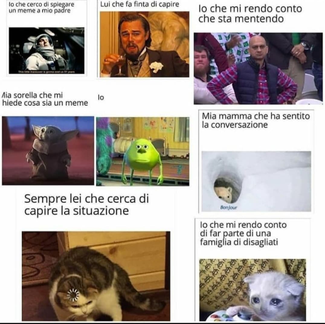 Il meme definitivo