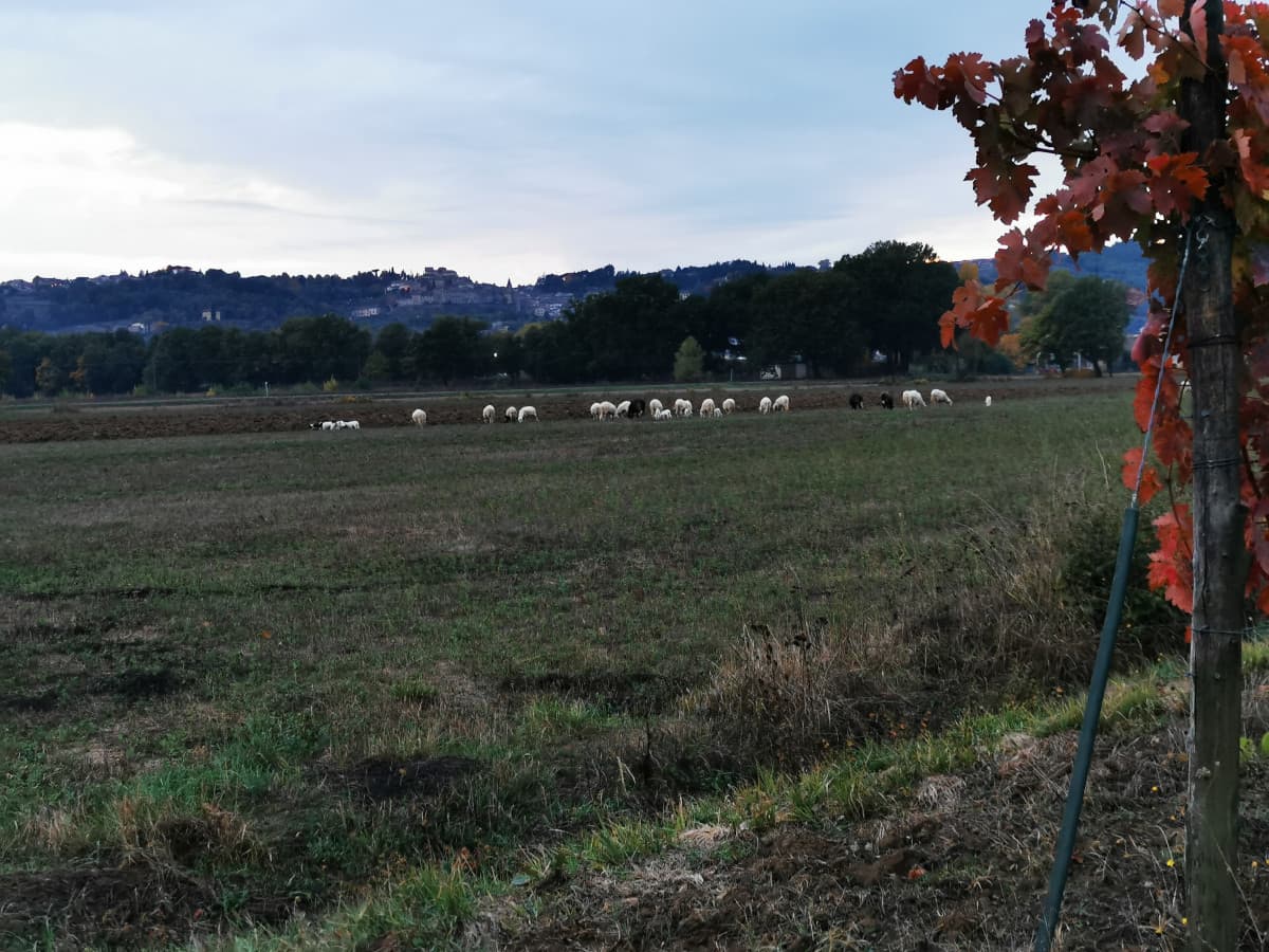 Chissà quanto ci si può godere la vita