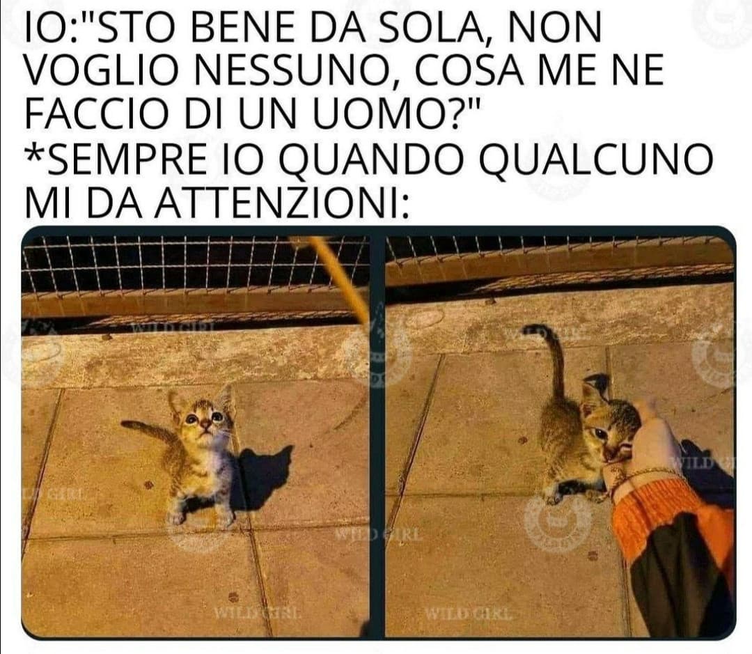 Chissà quando imparerete. 