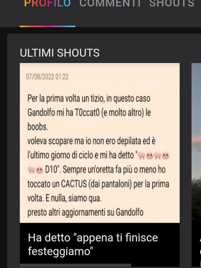 Tutti gli shout che metto, li mettono privati e li accettano in orari improponibili. NON L'HA VISTO NESSUNO CHE ??