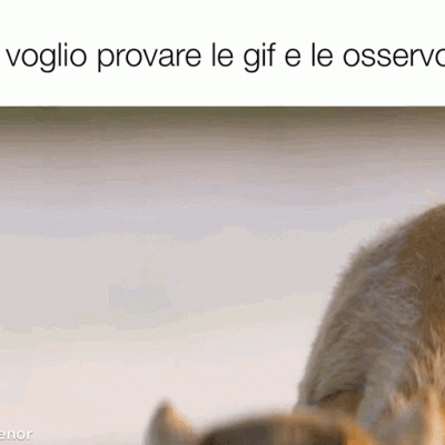 non so se funzionerà lel