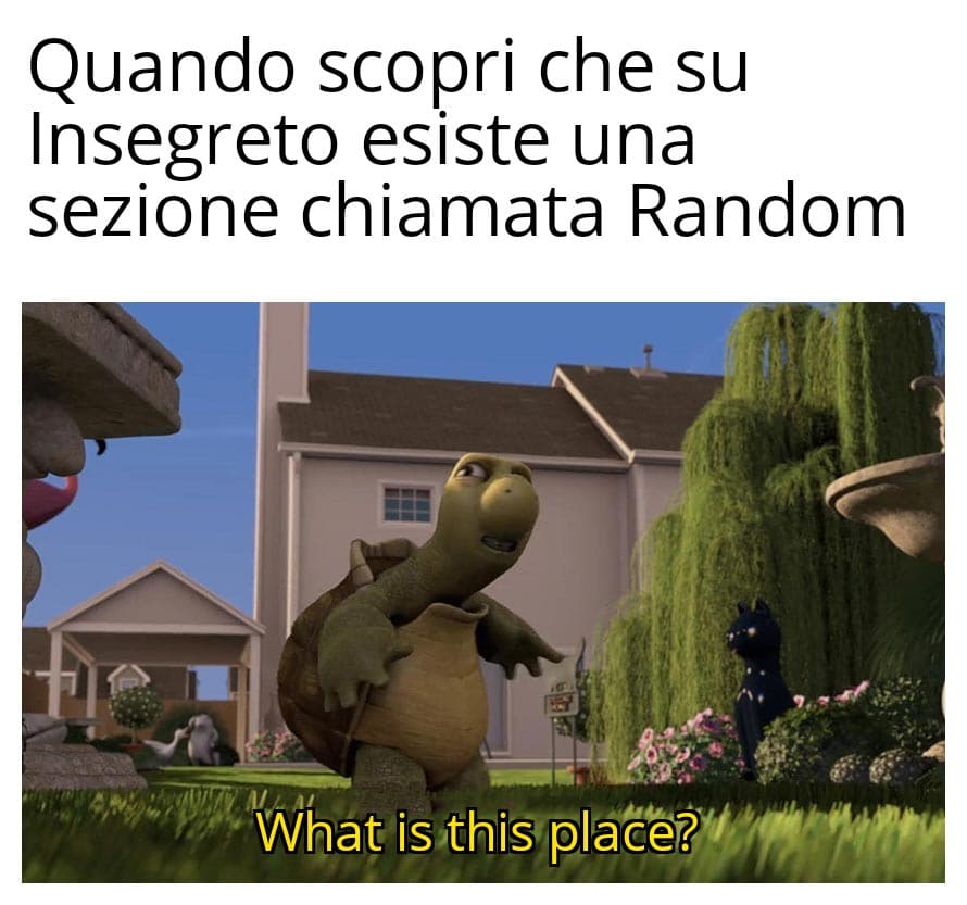 Voi ci siete mai entrati? 