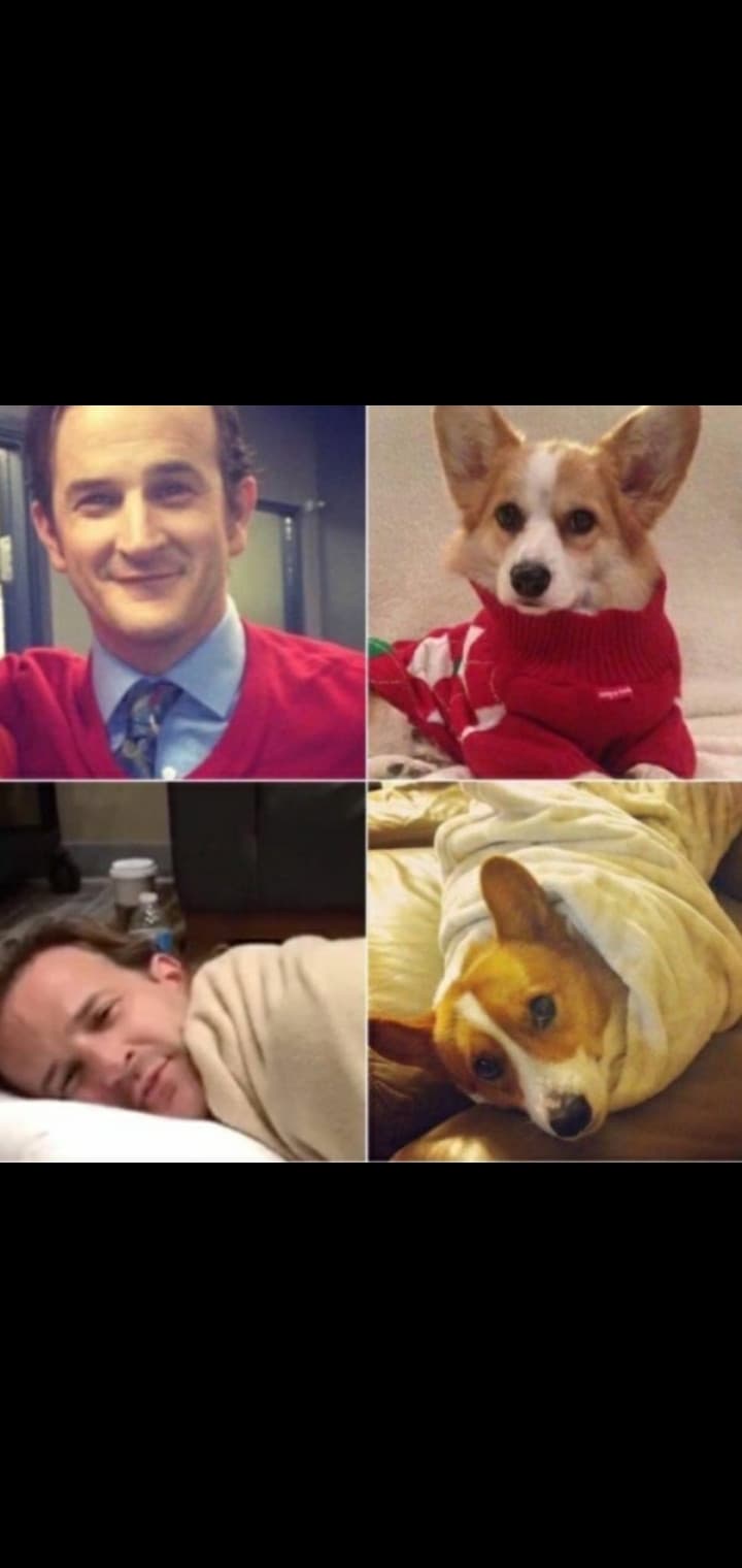 Richard Speight Jr è un fottuto corgi?.