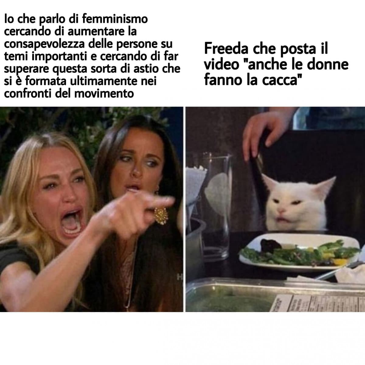 Il femminismo è fare la cacca