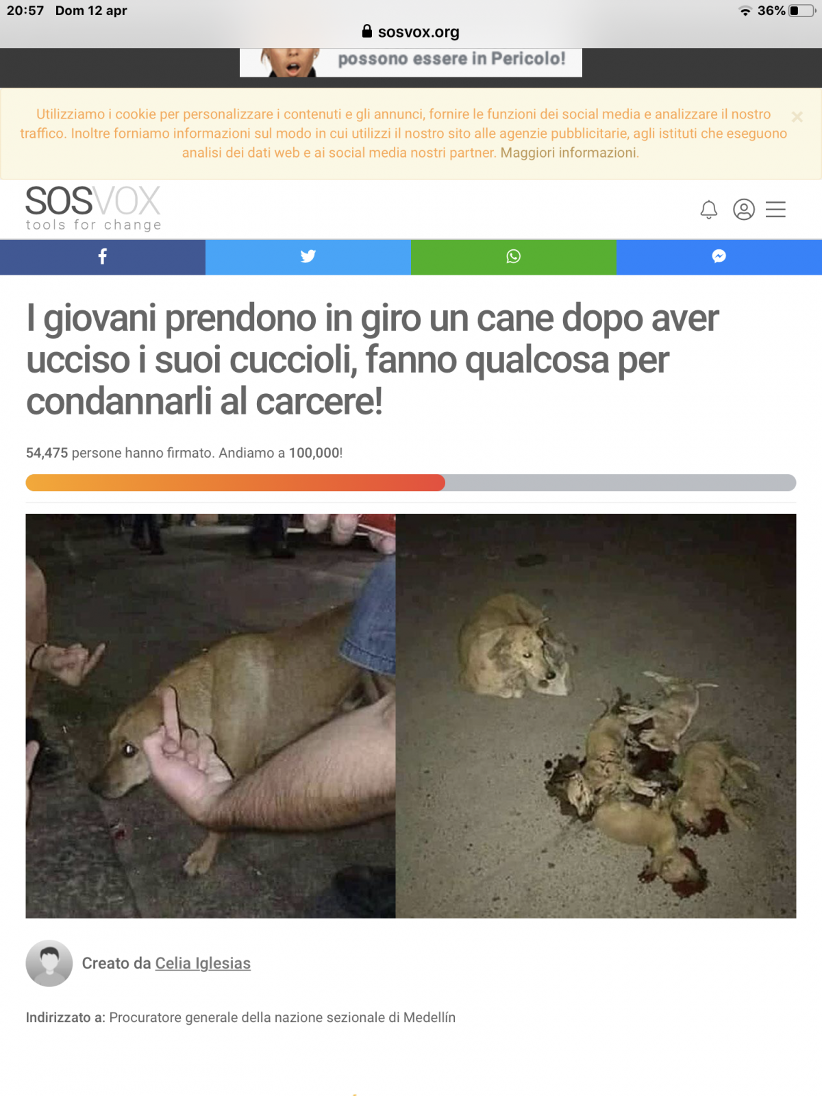 ALLA RAGAZZA CHE HA CONDIVISO QUESTA PETIZIONE
1) La notizia non è riportata in NESSUN GIORNALE (Né italiano né estero)
2) É scritto in un ITALIANO MALFATTO (A malapena si capisce a grandi linee)
3)L’ARTICOLO della petizione é praticamente VUOTO non è s