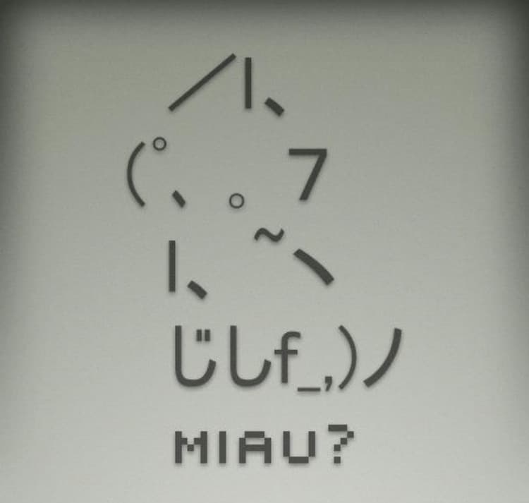 miau 