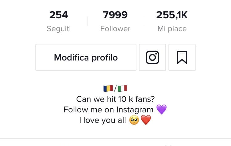 Secondo voi cosa posso scrivere di più sensato in questa bio? 