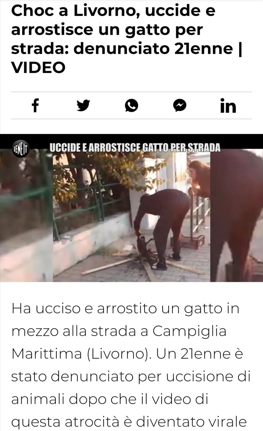 Ma vi pare normale che questo sia stato solo denunciato e non arrestato? Io boh. 