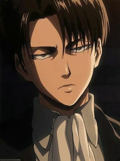 No per favore fatemi capire una cosa, come cazzo si pronuncia il nome del capitano levi? io lo leggo proprio levi ma quando devo nominarlo mi viene da dire come lo dicono nell'anime