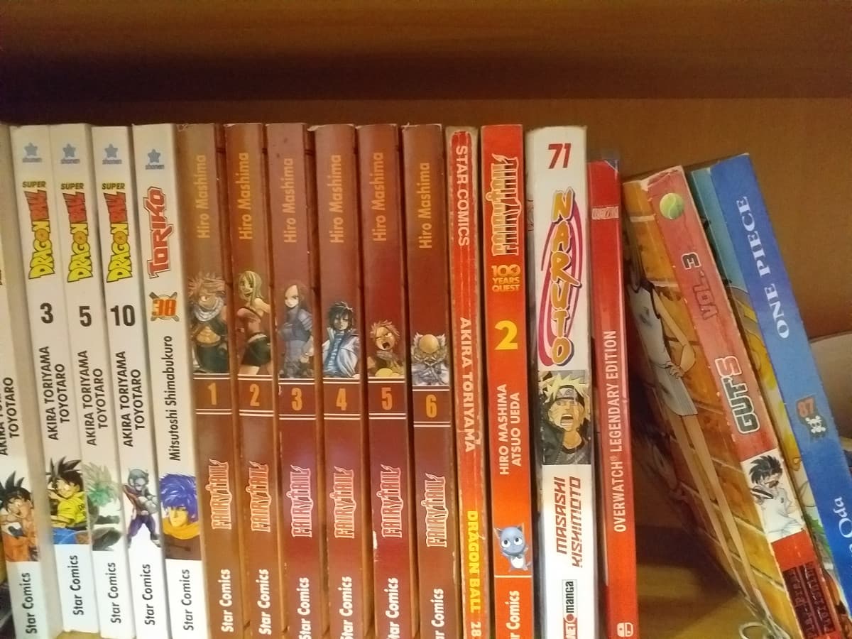 ecco i miei manga per la ragazza di 14 anni del segreto ?