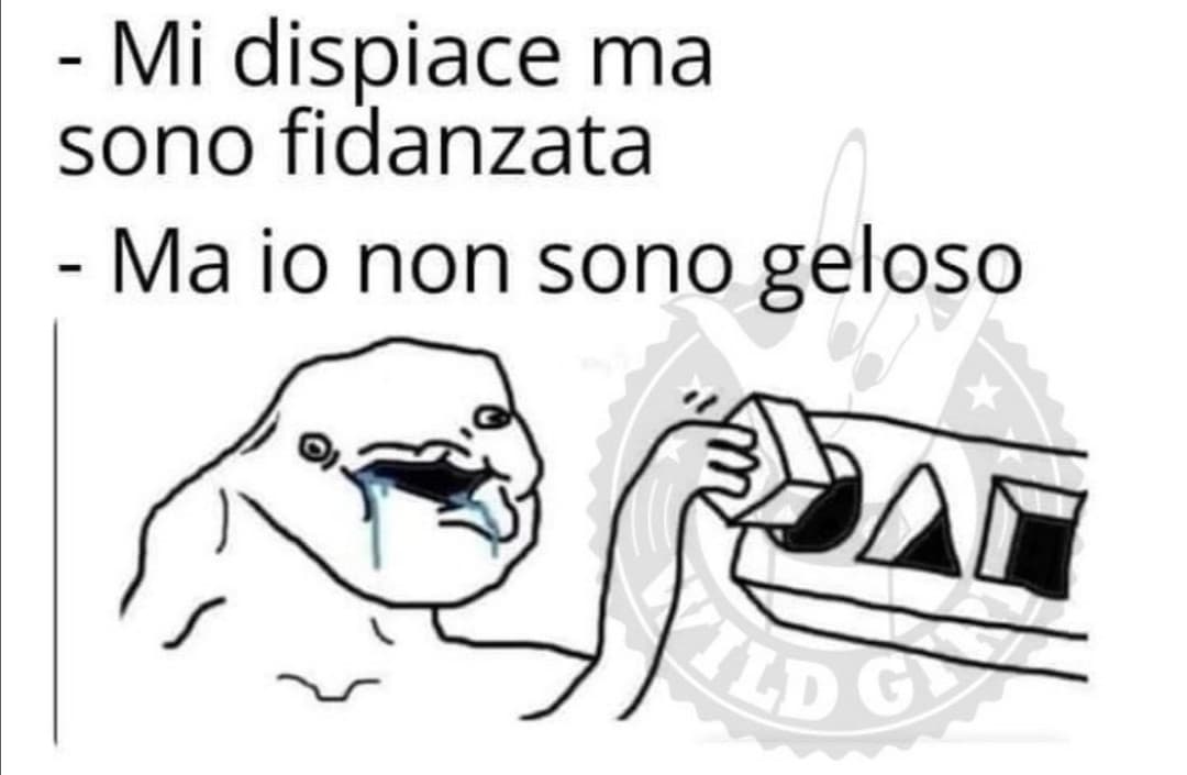 Poi viene tradito ed è subito "quella stronza mi ha tradito. Le donne sono tutte troie" 