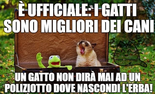 Mi ha fatto venire in mente l'utente che parla sempre di droga ? È una ragazza, chi si ricorda il nome?