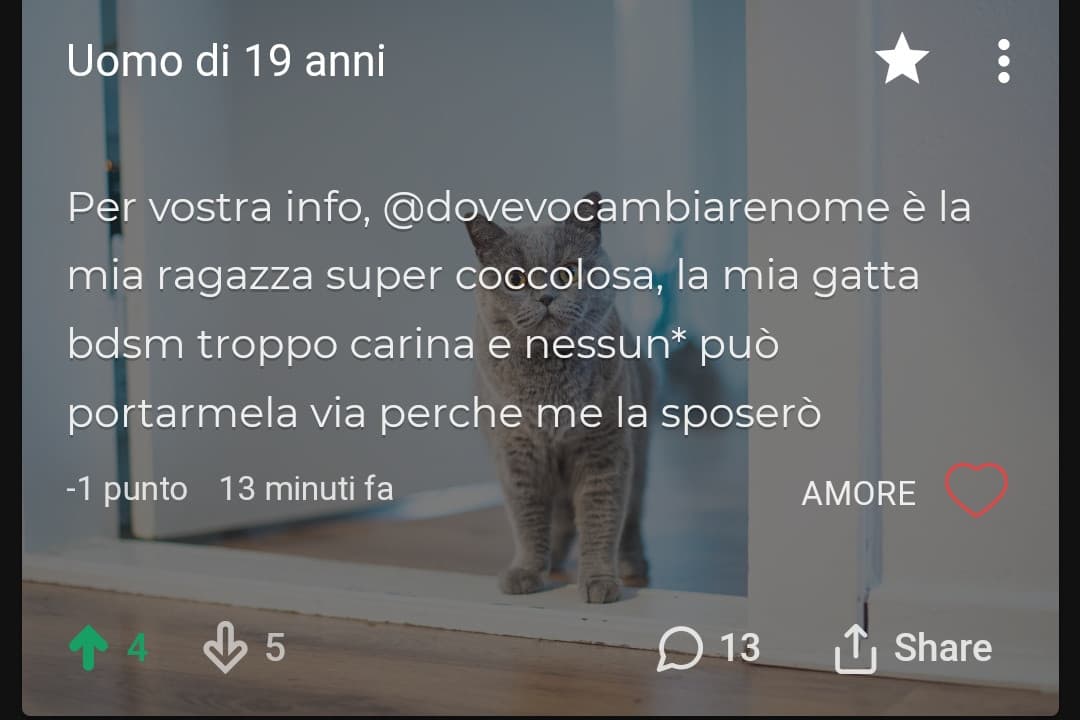 Ma che cattiveria, a me sembra solo dolce, la gente di insegreto fa schifo a capire quanto siano dolci le persone, uomo di 19 anni io vi auguro buon matrimonio ?