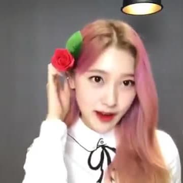 Hello?everyone?my?name?is?Choerry?um...?im?BI!?️‍?thank?you?