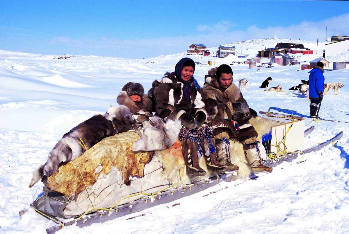 gli Inuit: il popolo che si è evoluto per vivere al freddo (andate in descrizione)