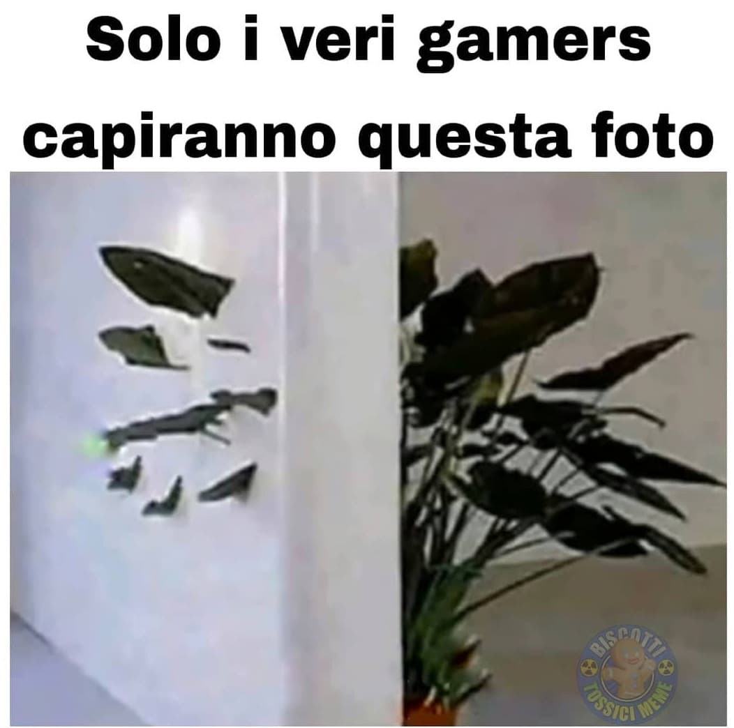 E io l'ho capito ugualmente ?