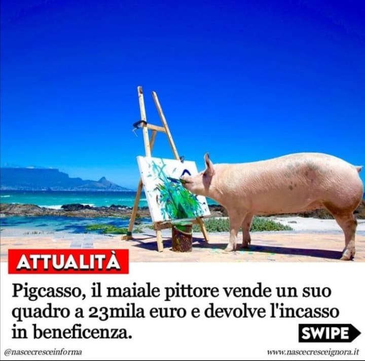 Sicuramente ha fatto più lui che molta gente! 