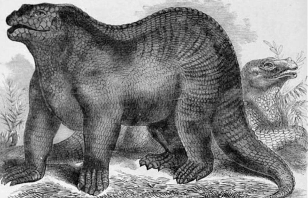 Vi mostro alcune rappresentazioni di vari dinosauri del 1800/1900. Fanno morire dal ridere aHAAHAHAHAH