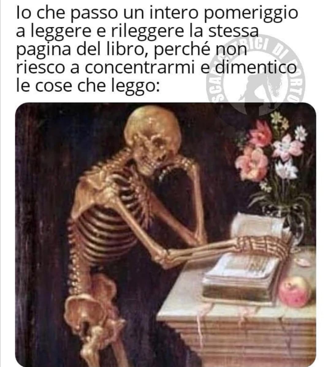 OGNI GIORNO 