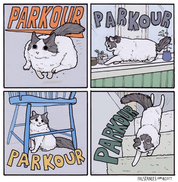 Parkour 