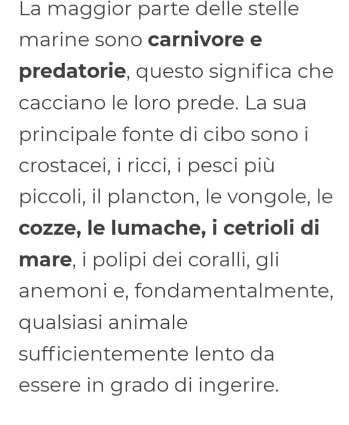 Se Spongebob fosse stato scientificamente accurato Patrick avrebbe mangiato tutti tranne Perla