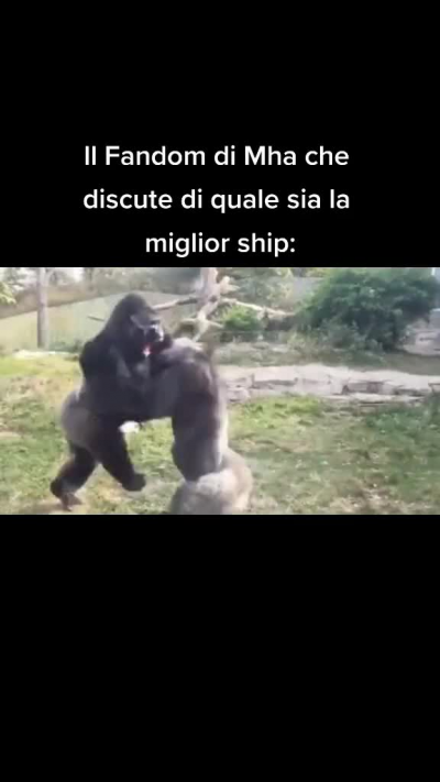 Mi metto contro ai fan di Mha AHAHAH