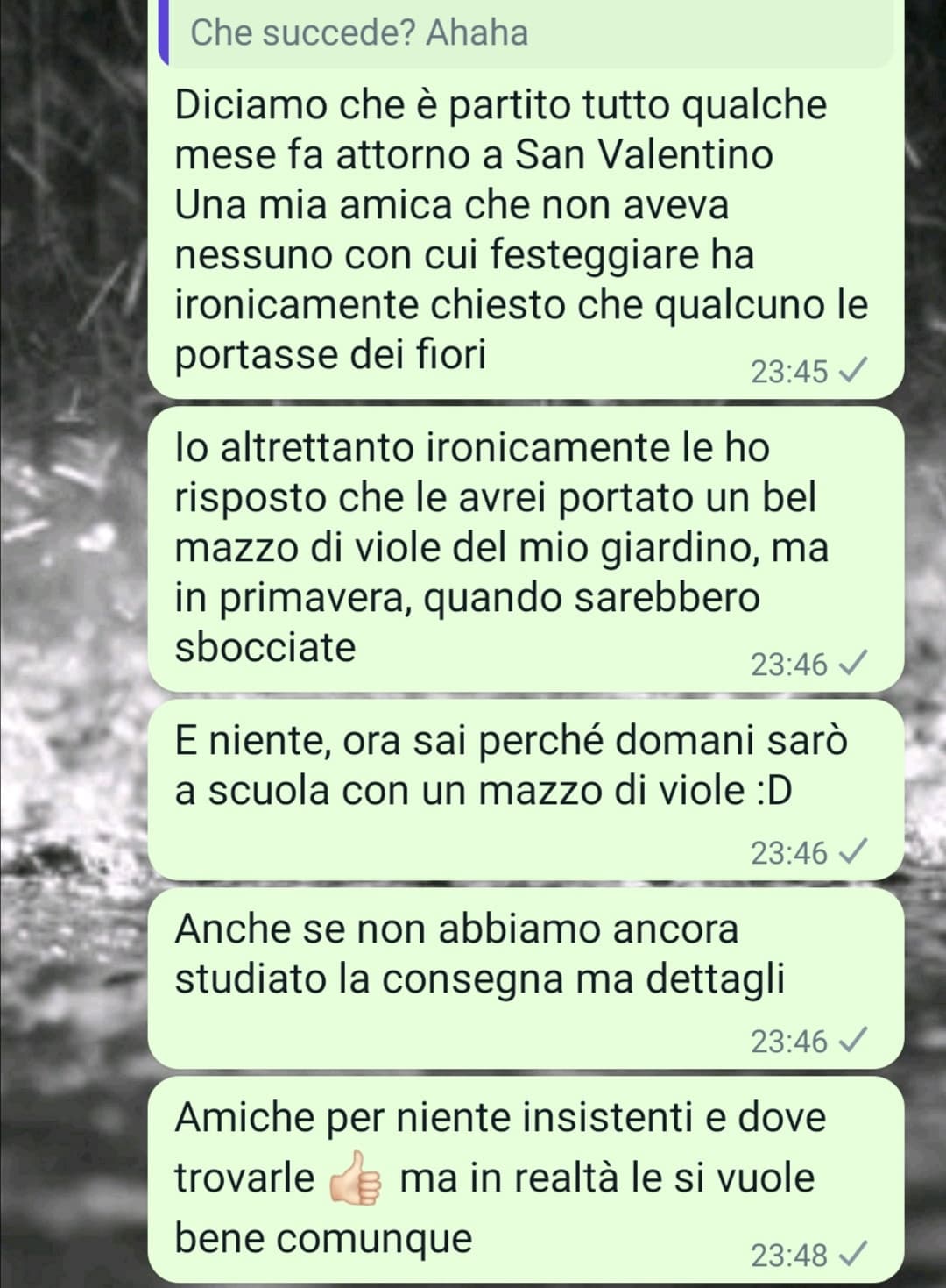 E niente, domani (se riesco) tocca portare i fiori a occhiscuri cercando di non farsi notare. Attendo la ship scolastica tra 3, 2, 1... No cugini, no