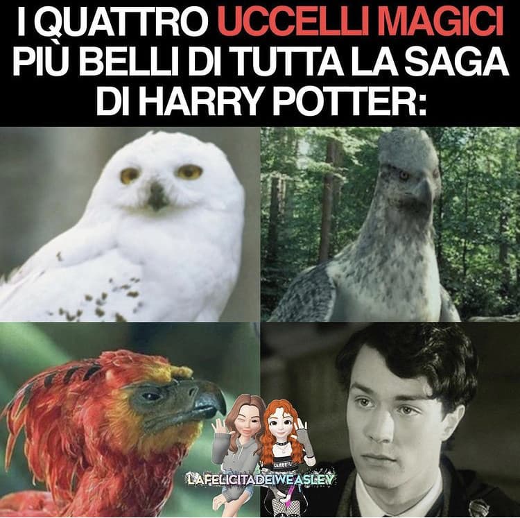 QuEl ChE sUcCeDe Ad HoGwArTs ReStA aD HoGwArTs