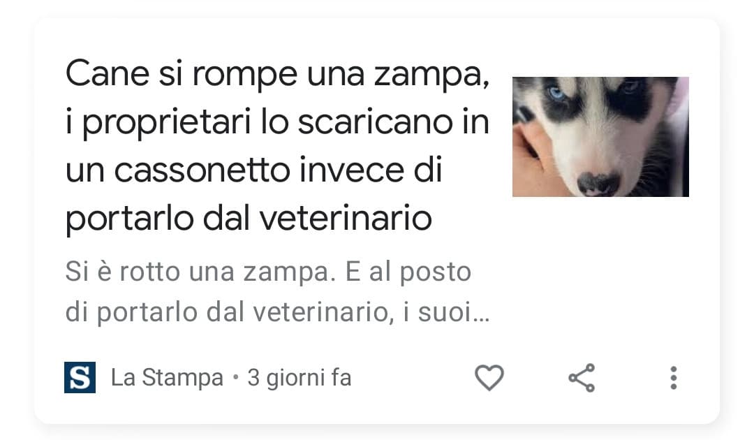 Lo hanno letteralmente buttato via come se fosse un giocattolo rotto... ?