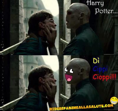 Harry vs Voldemort 1° elementare