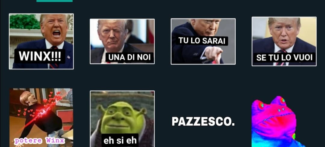 Gli stikers che mi manda una mia amica :