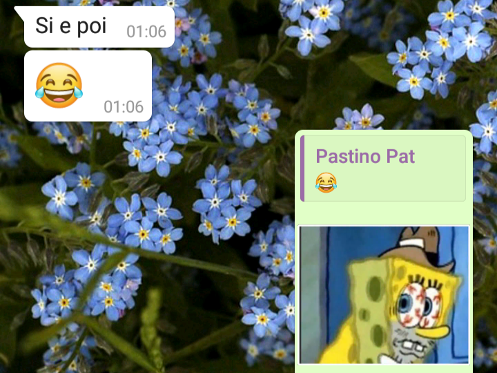 SpongeBob nel cccuore