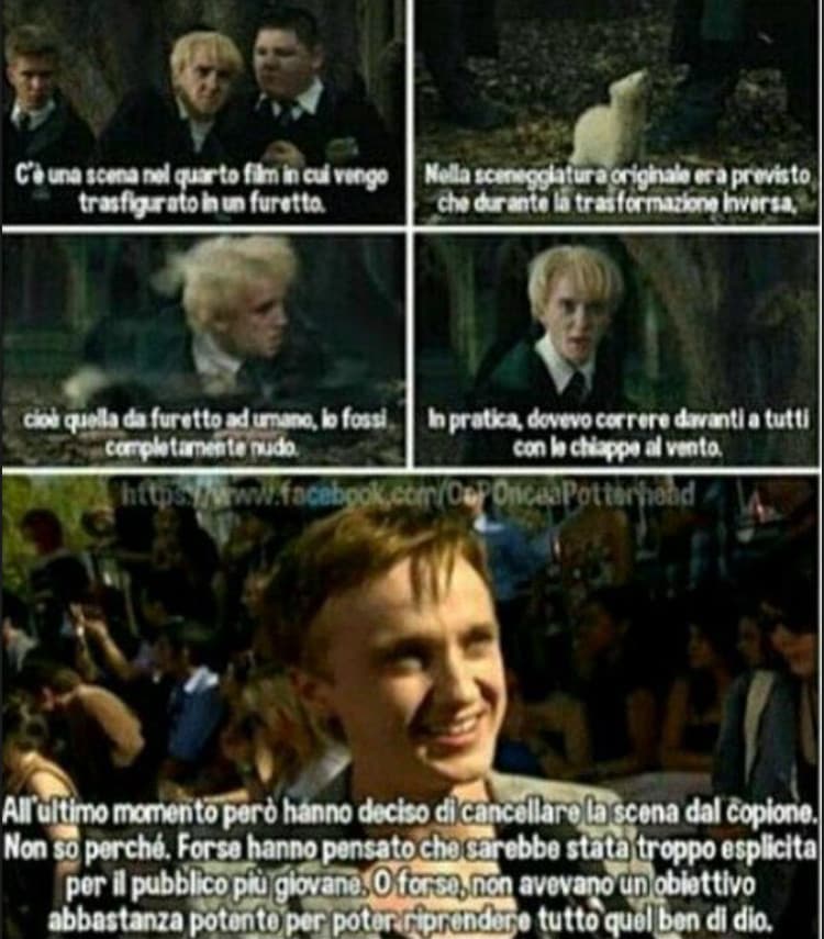 Tom Felton e la modestia