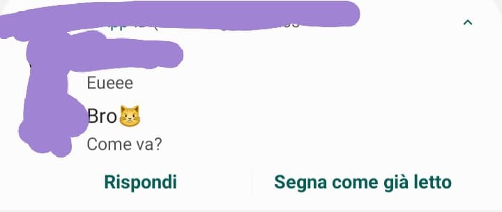 Ho creato sto gruppo con me un mio amico e una mia amica e parlano solo loro due hahahaha