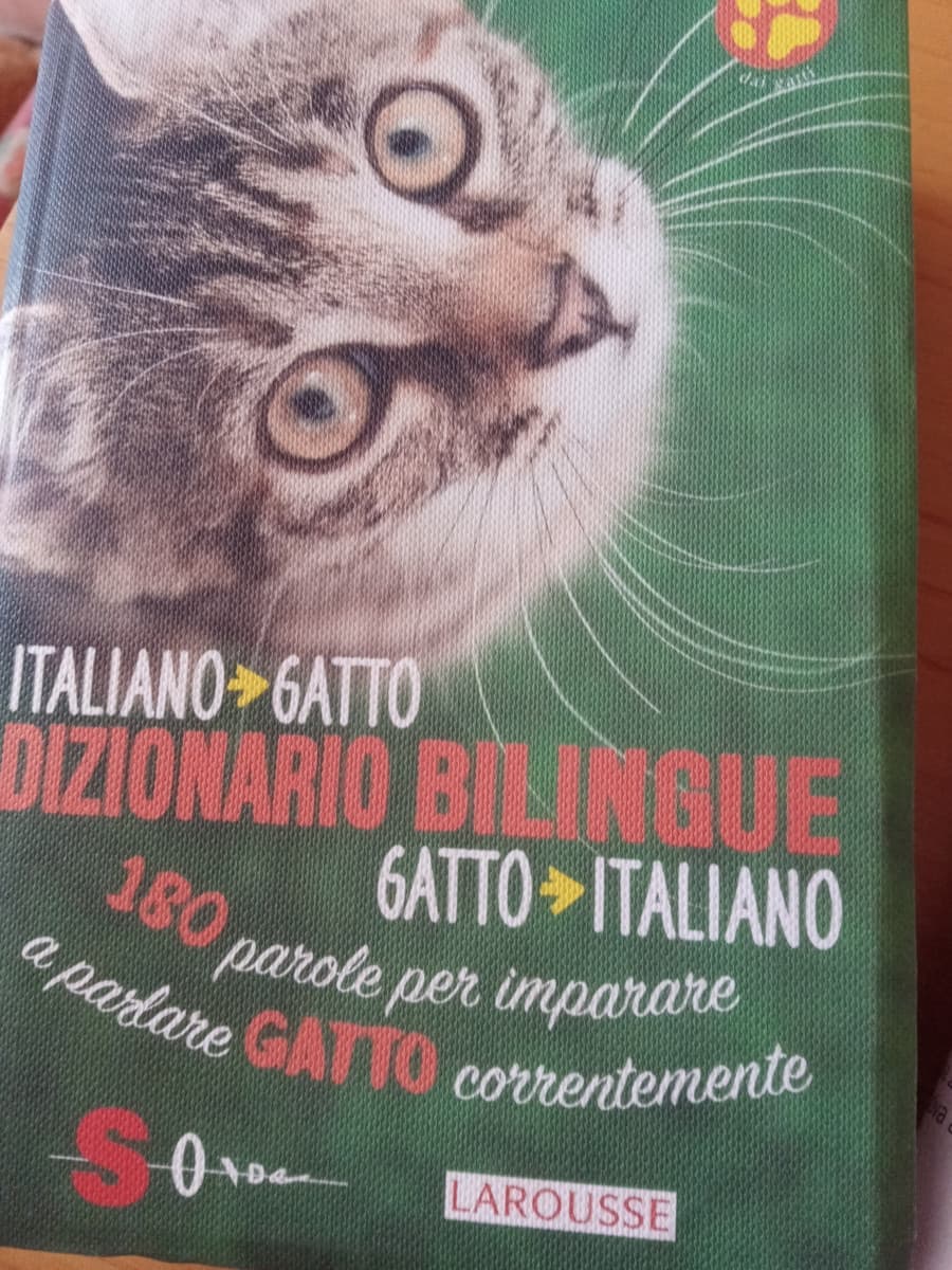 AHH IO POSSO PARLARE CON I GATTI E CAPIRLIIIII