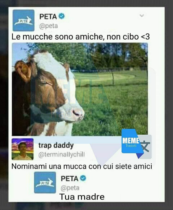 Anche quella vacca di vostra nonna è molto amichevole