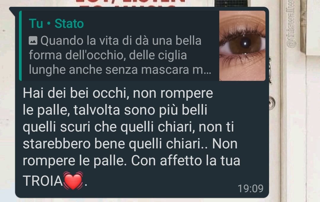 Avevo fatto uno stato lamentandomi del mio colore degli occhi estremamente comune :( poi c'è lei che mi alza l'autostima così. TVB (⊃｡•́‿•̀｡)⊃