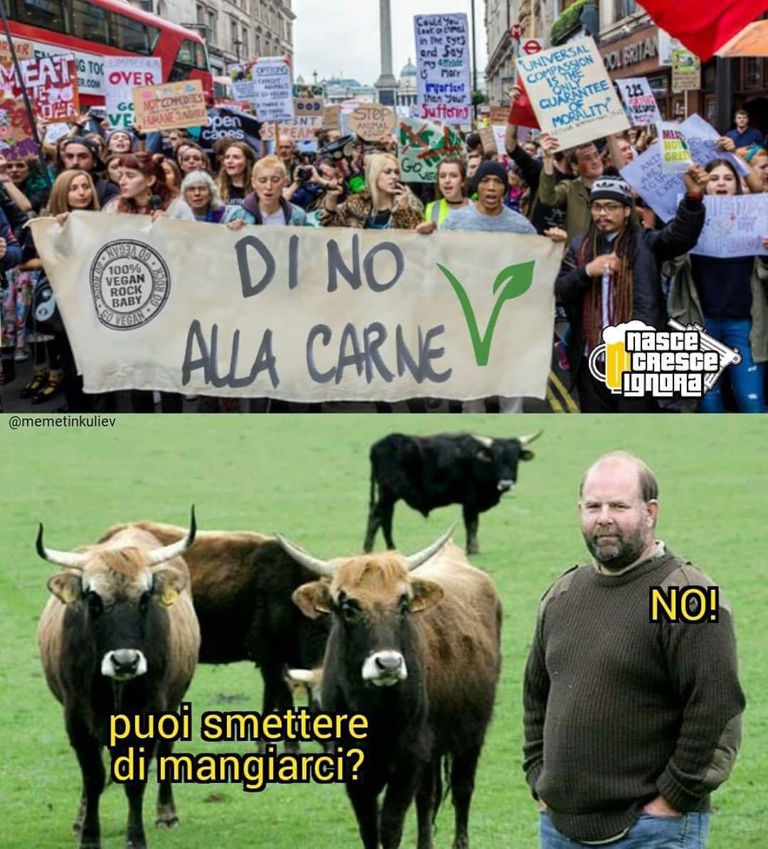 dite anche voi di NO alla carne