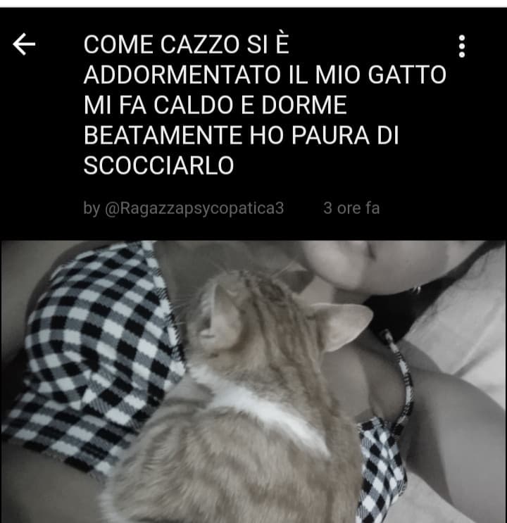 Scusate eh che Cazzo posto di male? Secondo voi? Cioè sta male questa 