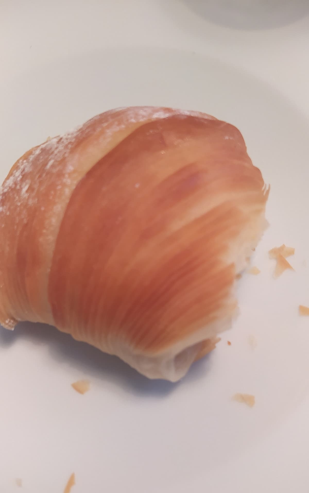 La nostra vicina ci ha dato delle sfogliatelle ricce, una buona pausa dal fumetto che sto facendo è quel che mi serve.