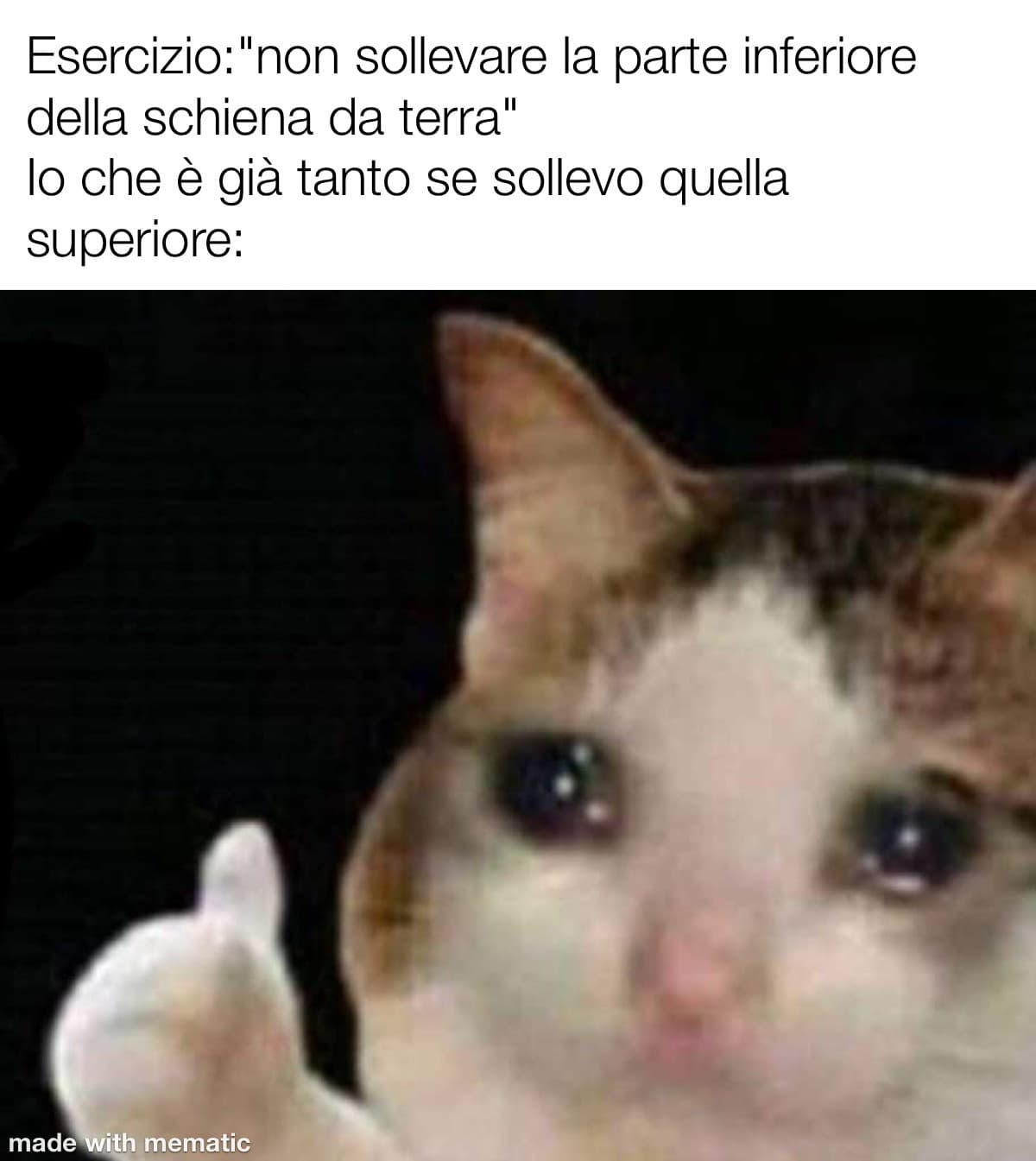 Mi sto allenando perchè alla mia ragazza piacciono gli addominali e quando ci vedremo volevo farle una sorpresa ma diciamo che allenarsi dopo quasi 2 giorni senza sonno non è il massimo 