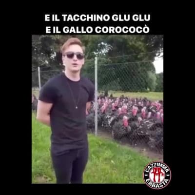 il toro muu e la mucca moo
L'agnello bee e la capra meee
E il cane bau bau e il gatto miao
E il piccione tru e il tacchino glu glu glu
E il gallo corococò e la gallina cò
E il pulcino pio, e il pulcino pio
E il pulcino pio, e il pulcino pio 